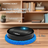 Intelligence Cleaning Robot